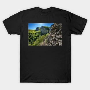 Limestone mountains T-Shirt